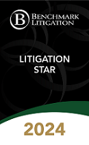 litigation star 2024